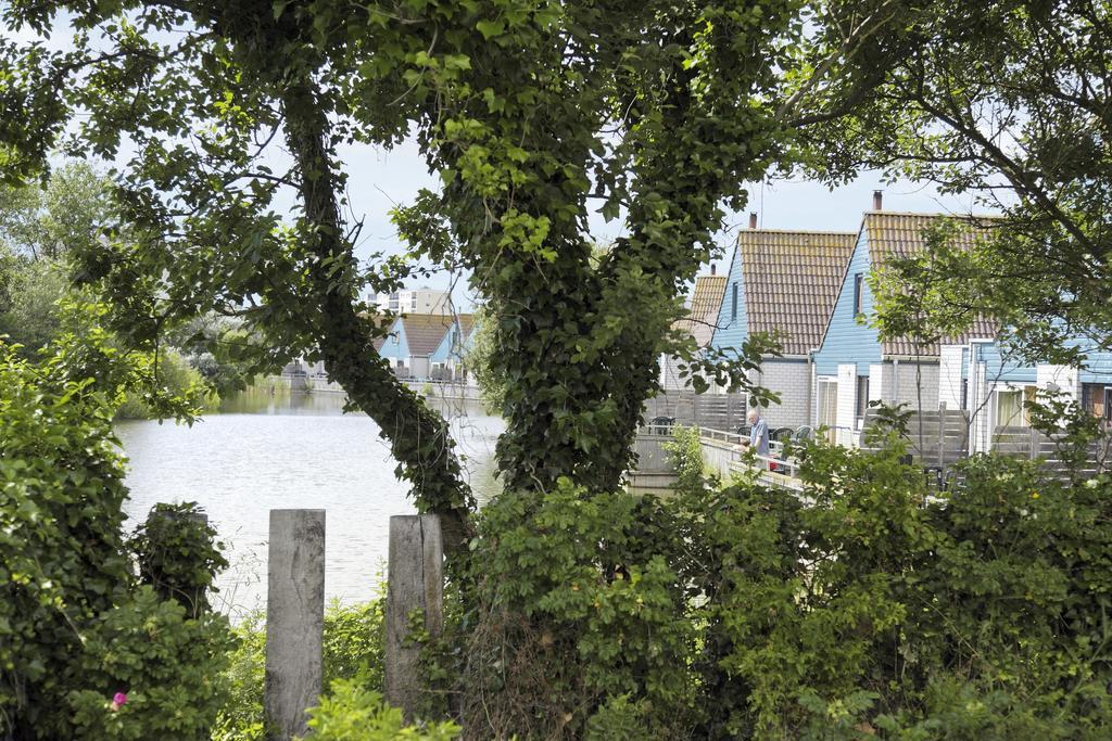 Center Parcs Zandvoort Beach Phòng bức ảnh